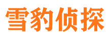 大化找人公司